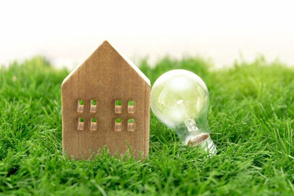 Wooden house model and light bulb on green grass, sustainable energy and Energy Efficiency concept